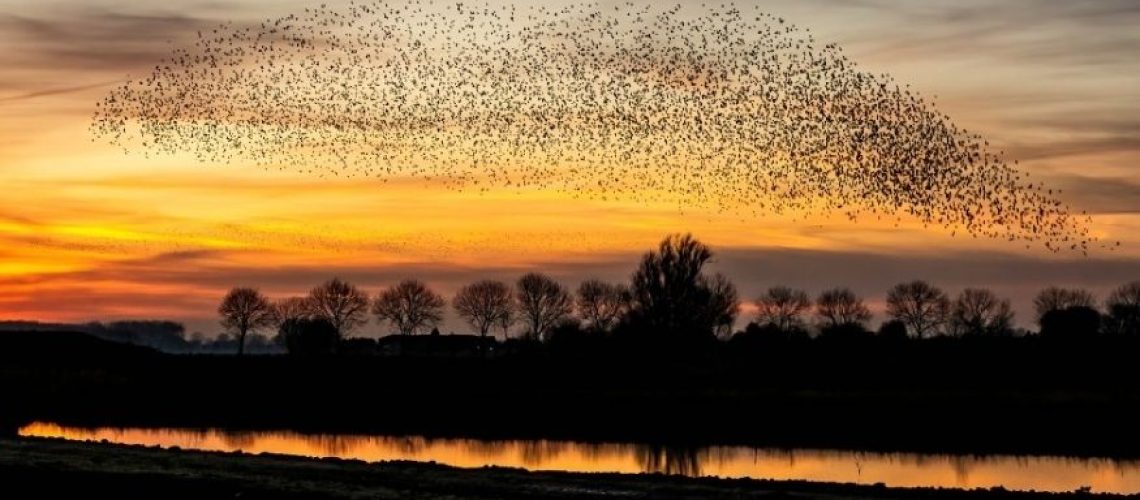 Surviving and Thriving